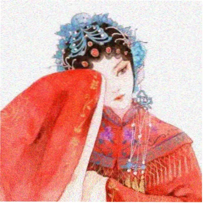 读者 苏禾 的头像